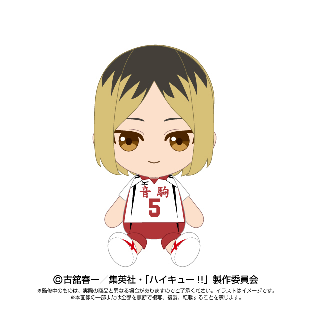 「ACG.GO」「預購」日版 《排球少年！！》角色公仔