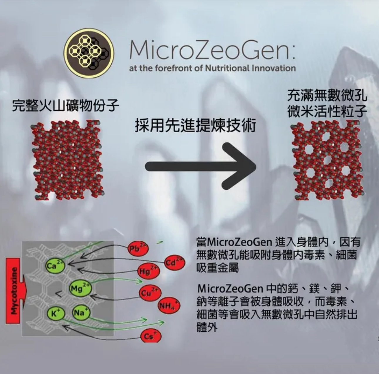 Nature's Protection 全天然火山礦物牙石粉-牙齒、腸胃、骨骼加護配方 250g（適合貓犬食用）