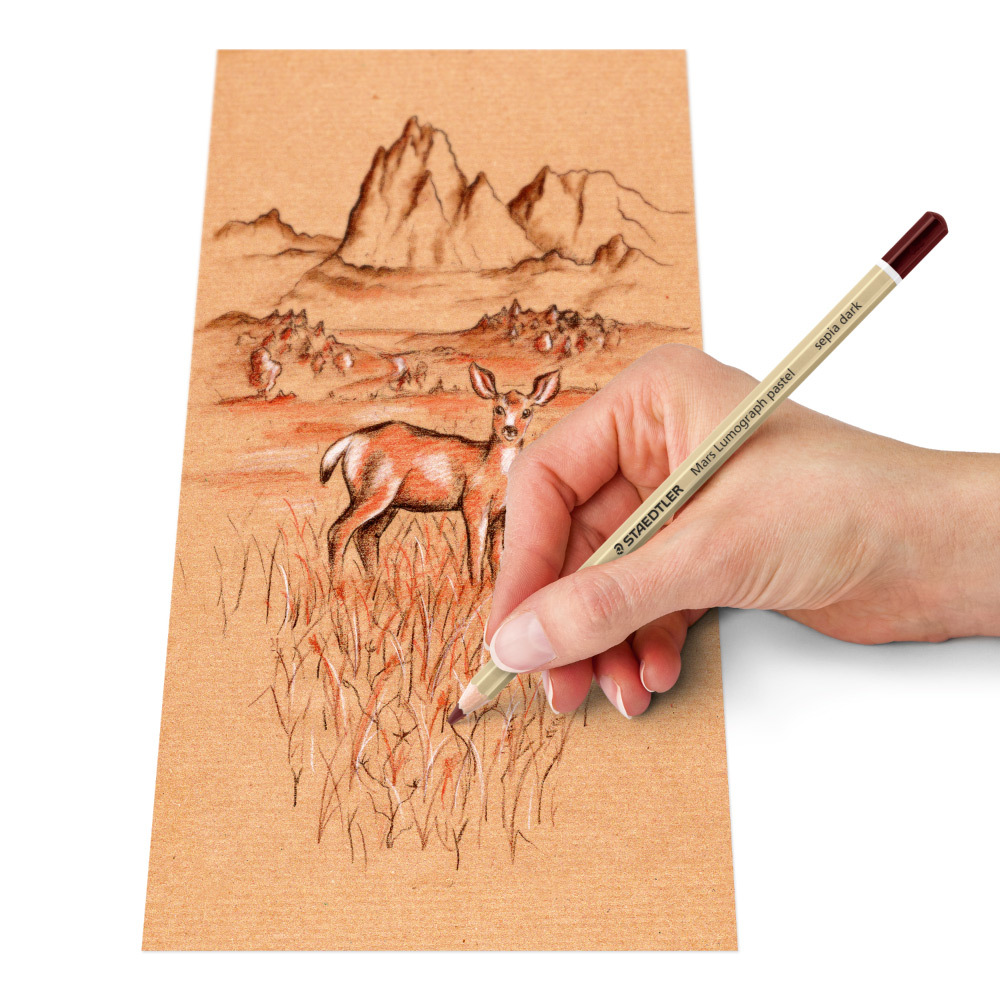 【STAEDTLER 施德樓】專家級粉彩色鉛筆6色組 MS100 P-SBK6