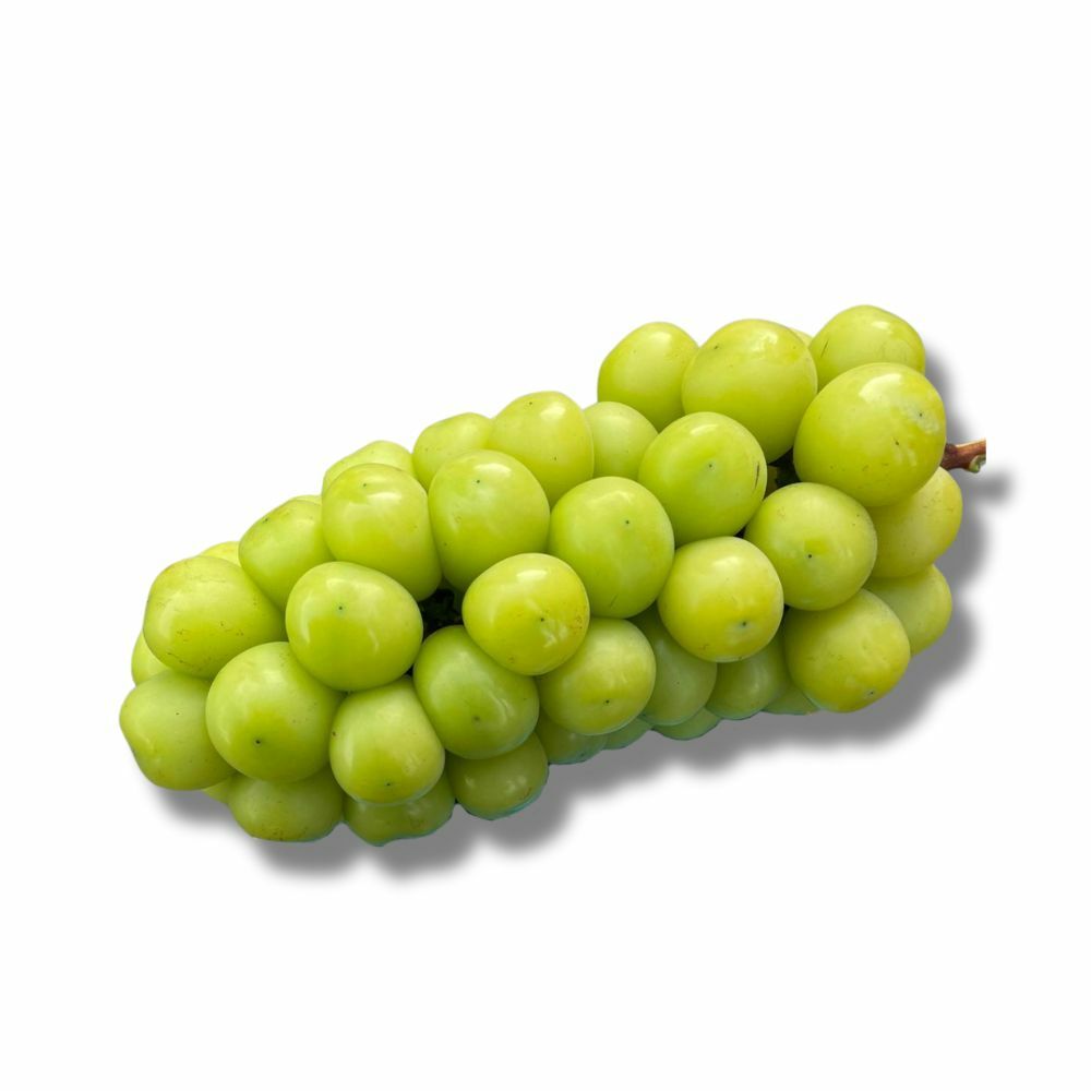 晴王提子 (一束)