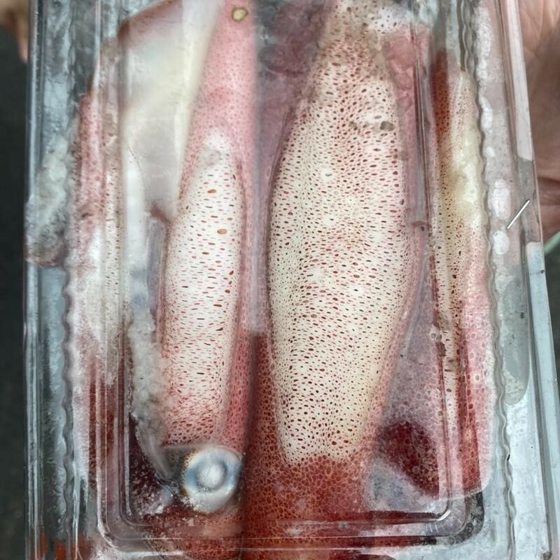 盒裝東北角 小卷(300G)