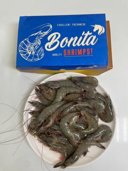 Bonita白蝦(20/30)(850G)