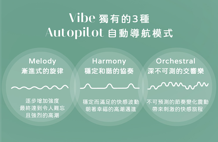 Womanizer Vibe 快感稜線無聲震動器