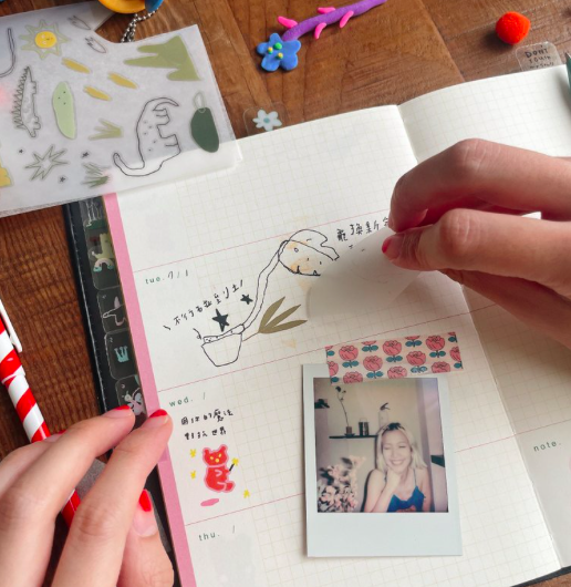 恐龍的悄悄話 轉印貼紙 感壓貼紙｜馬卡龍腳趾