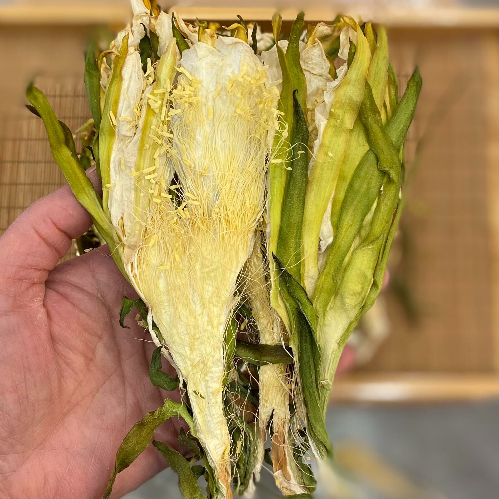 （300克）霸王花