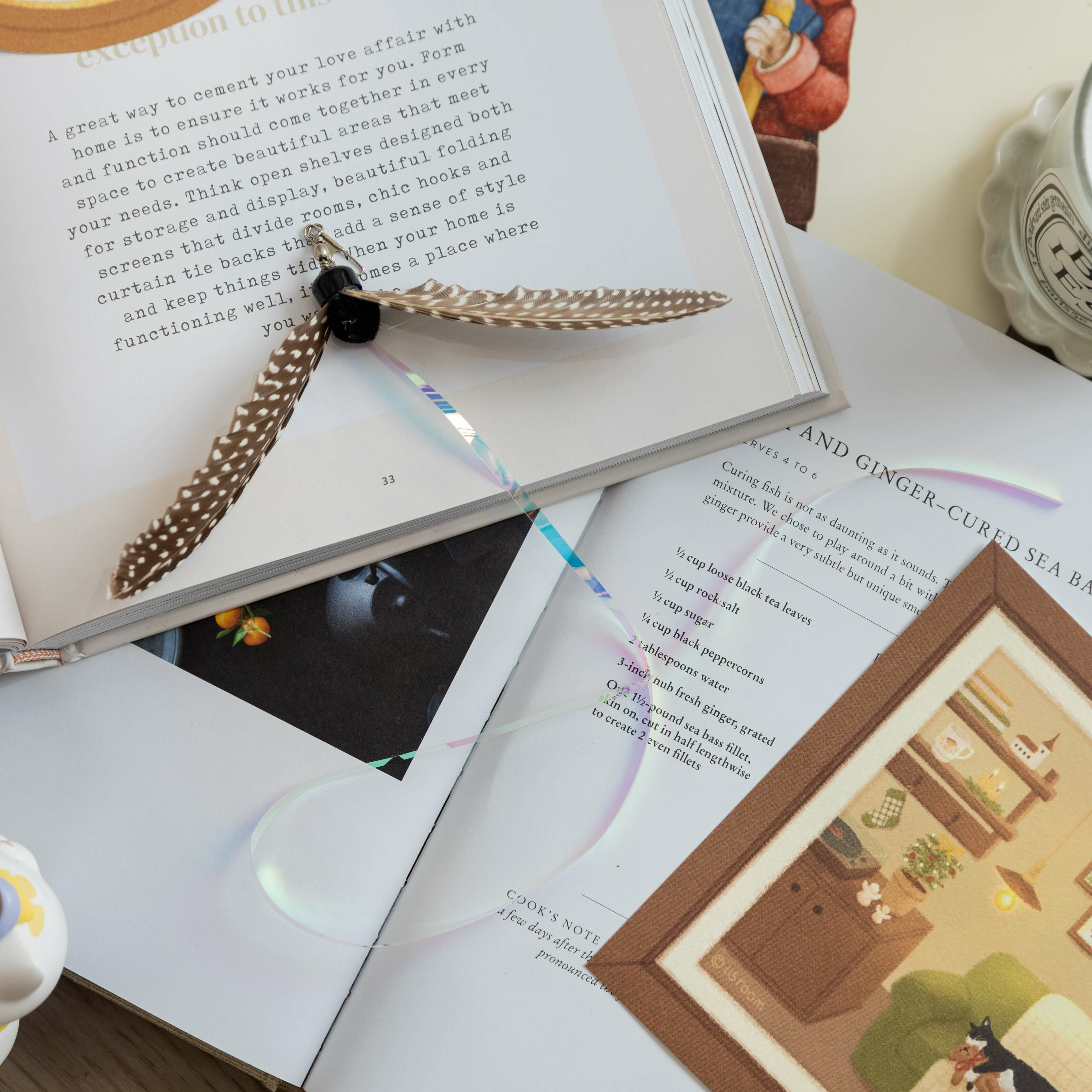 轉轉．舞動羽毛