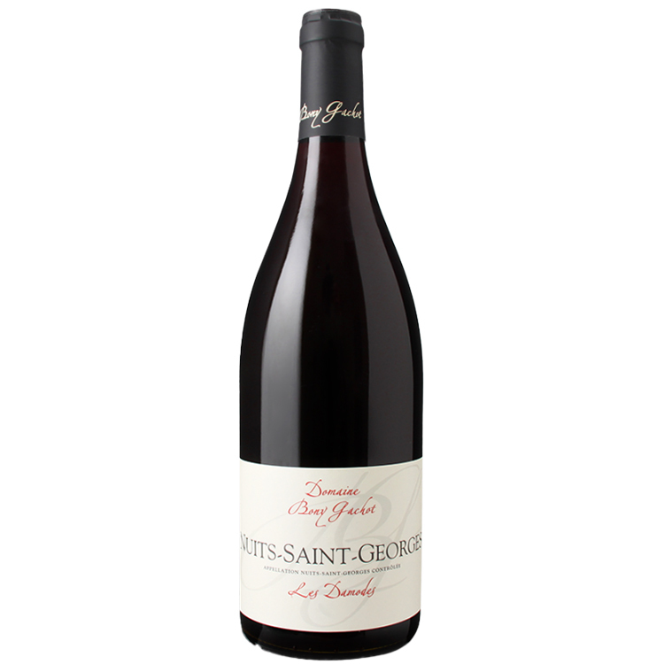 Domaine Bony Gachot Nuits-St-Georges Les Damodes 2020