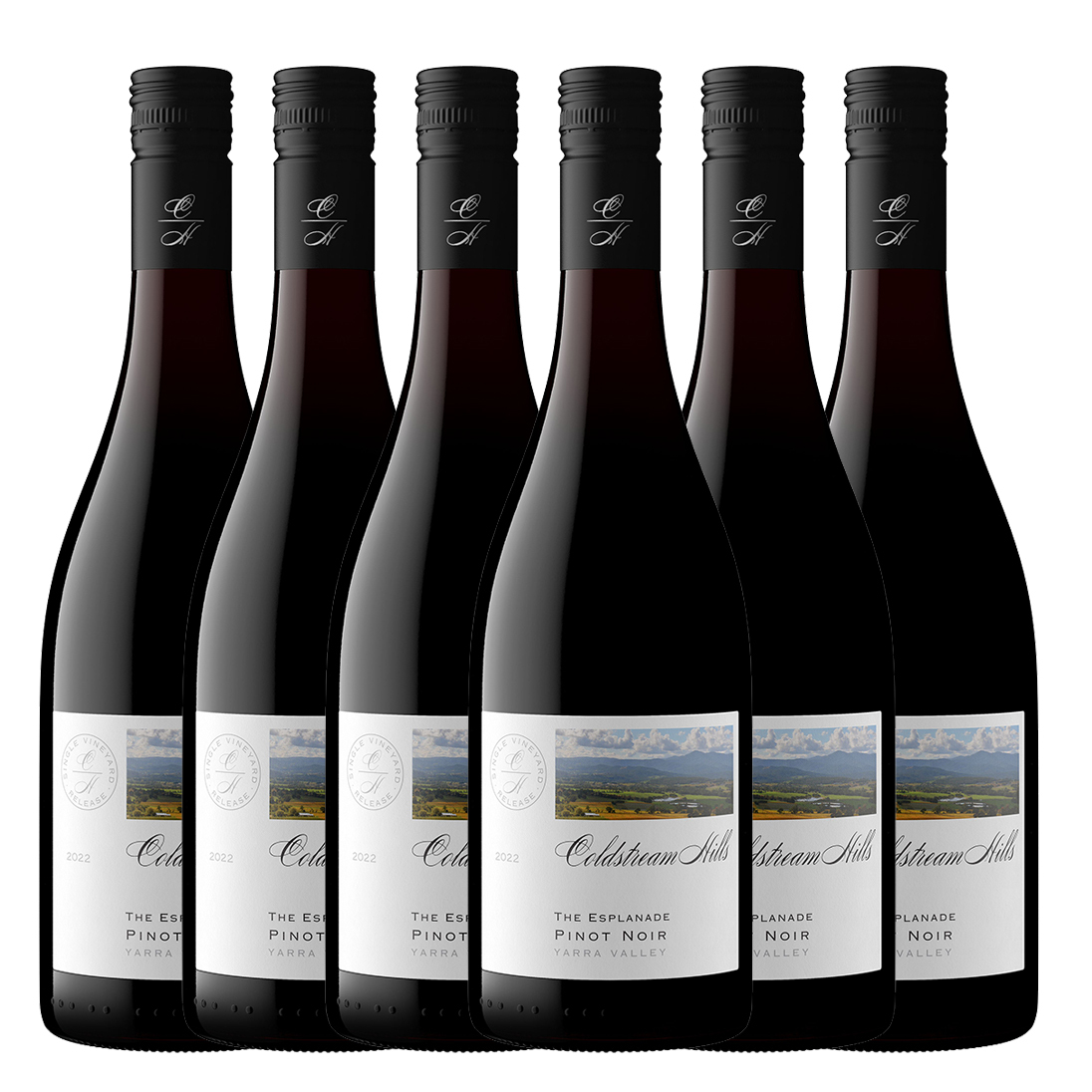 ColdStream Hill Pinot Noir 2022 - 6 Bottle Pack