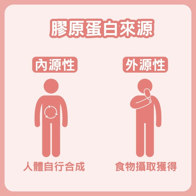 膠原蛋白來源