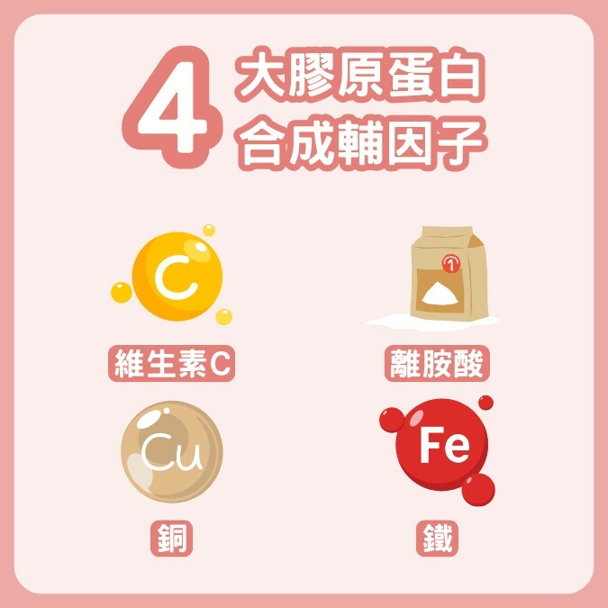 膠原蛋白合成輔因子