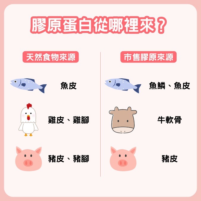 膠原蛋白從哪裡來？