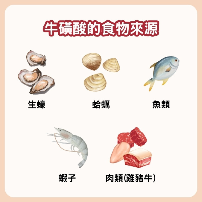 牛磺酸食物來源有哪些？
