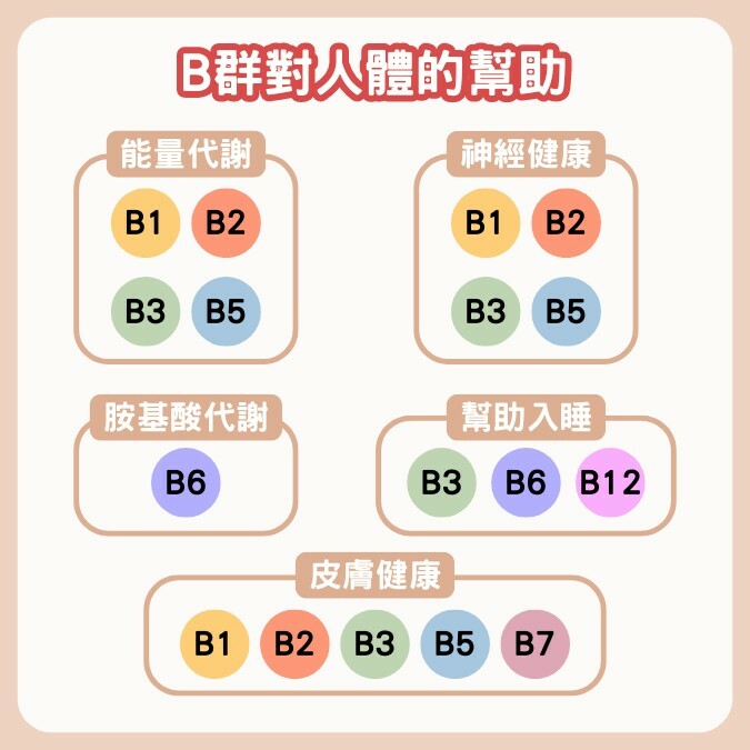 B群功效有哪些