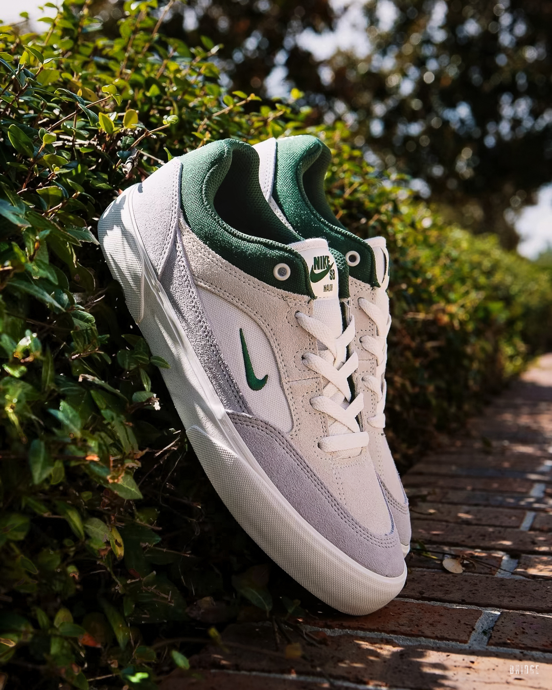 『小眾質感滑板鞋⚡』Nike Sb Malor