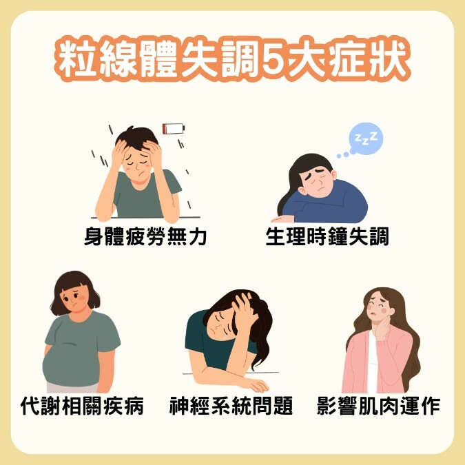 粒線體失調