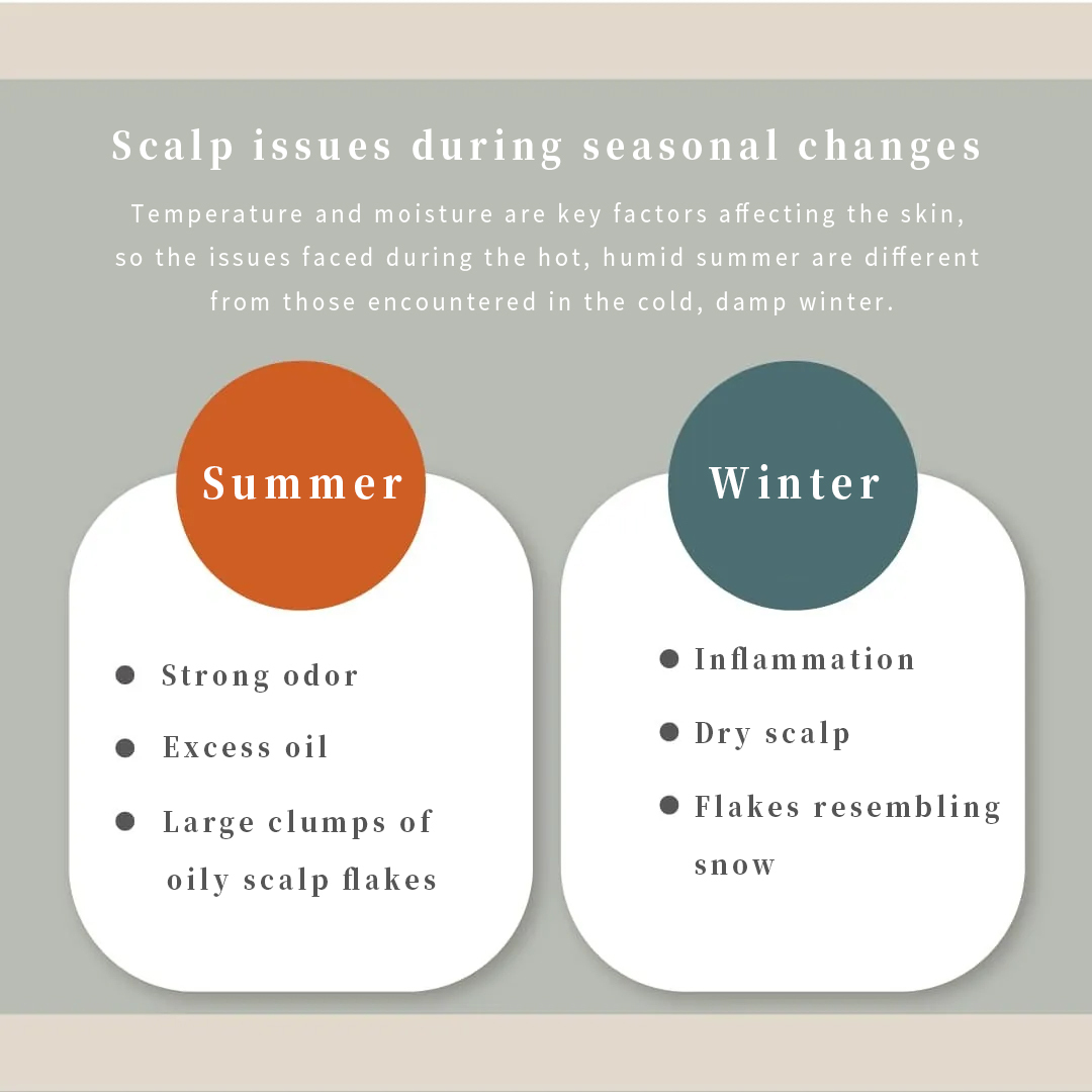 comparison of scalp issues between summer and winter