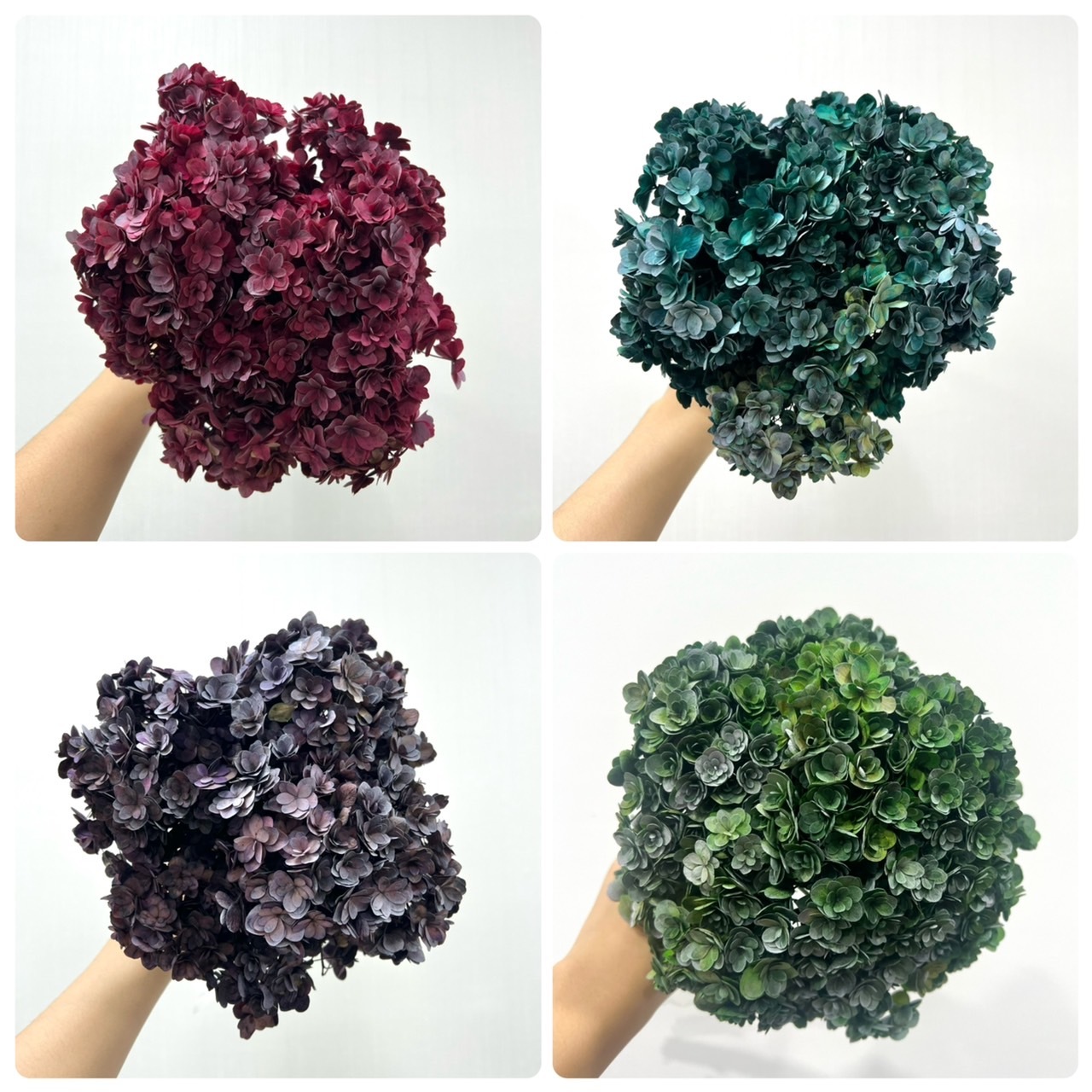 不凋重瓣繡球花(帶桿)