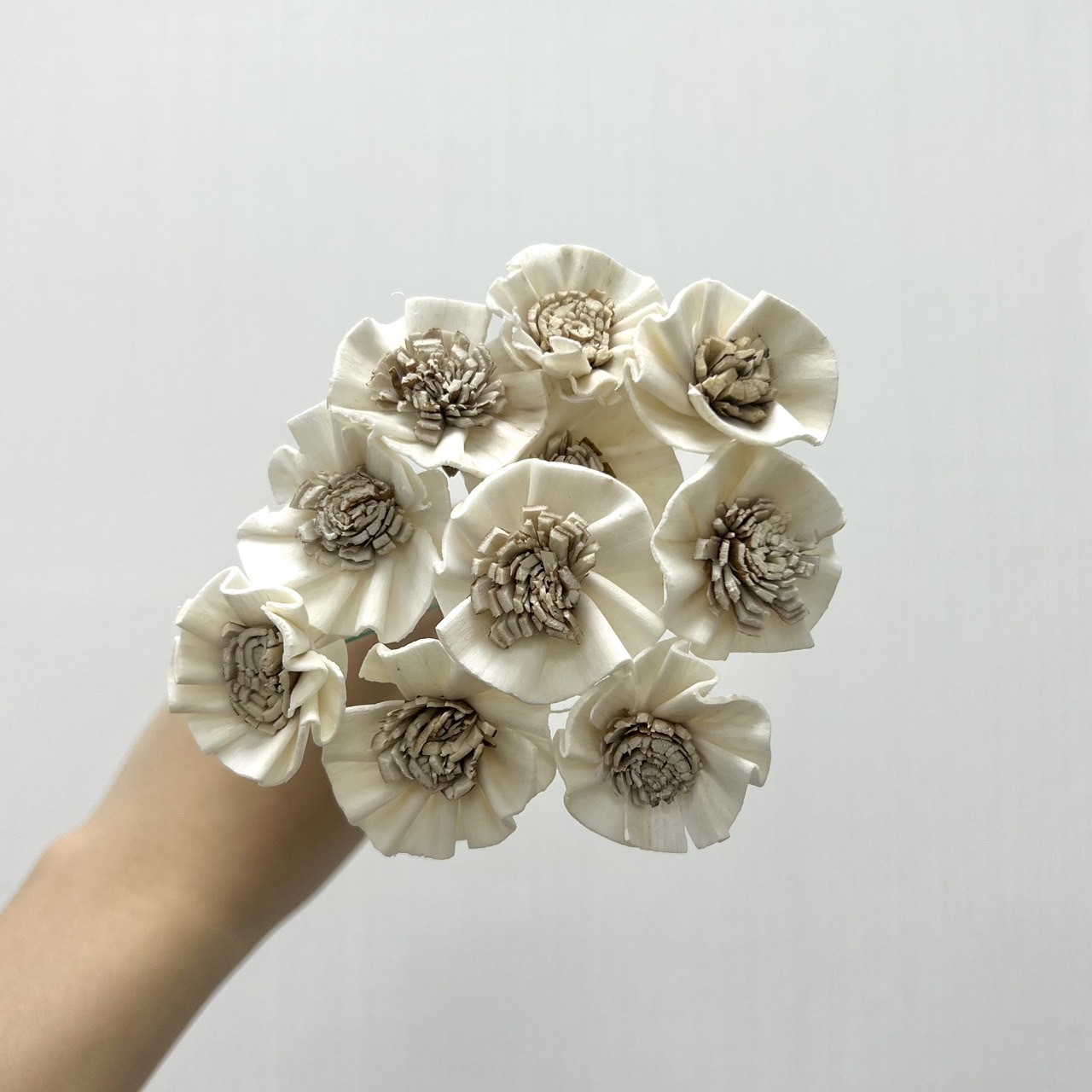 越南索拉花 銀蓮花 3CM<十支一把>