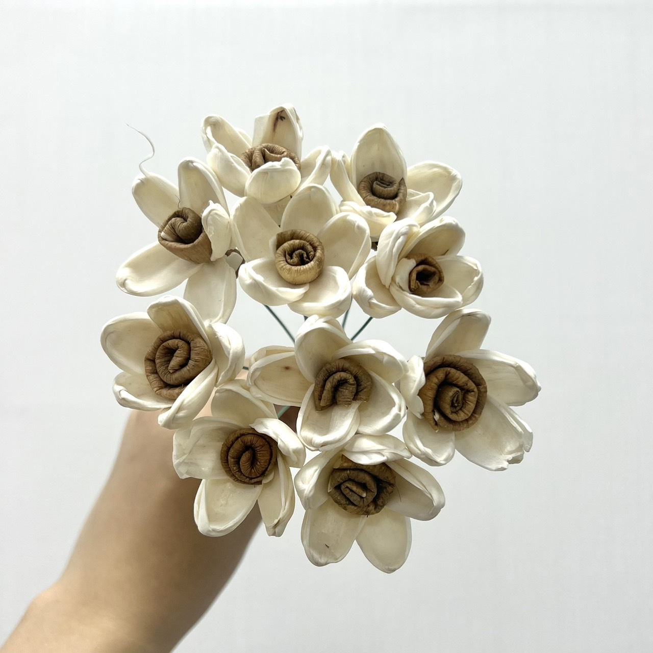 越南索拉花 迷你蓮花(咖啡捲心) 3CM<十支一把>