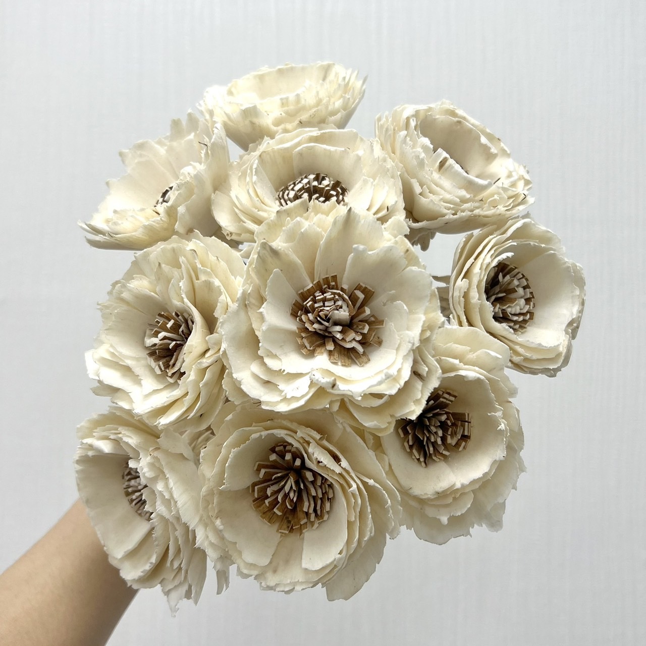 越南索拉花 重瓣波斯菊6CM <十支一把>