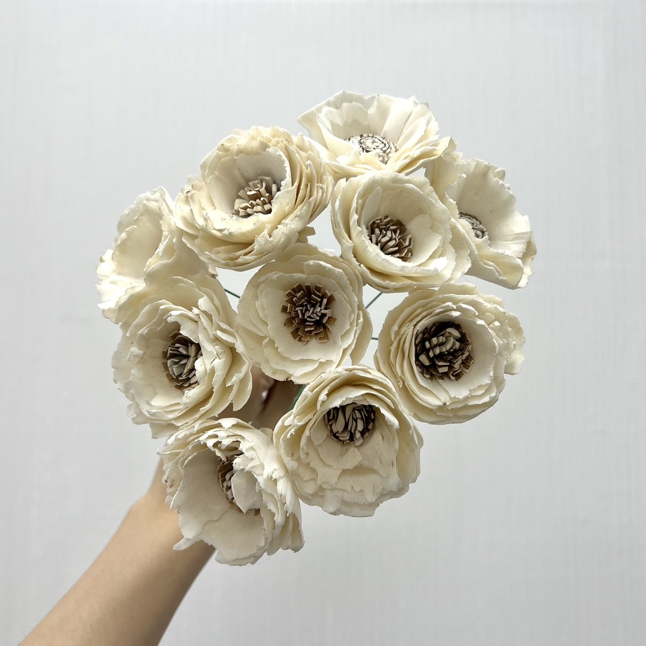 越南索拉花 重瓣波斯菊 4CM<十支一把>