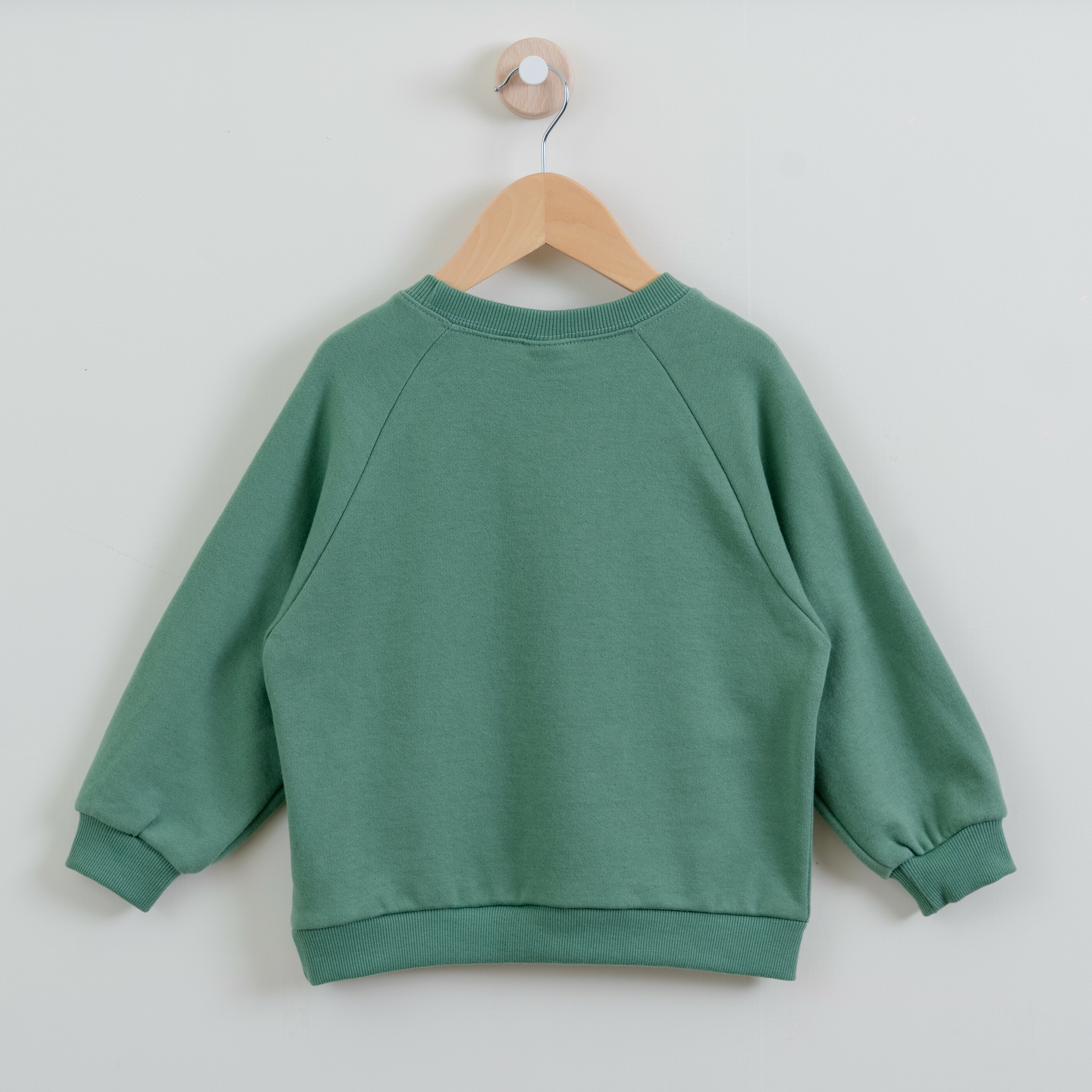 韓國 1st Blue-秋款手繪小老虎衛衣-背面