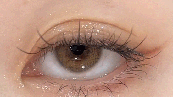 [日拋] I-DOL EURORING 1 Day Mel Beige 彩妝隱形眼鏡｜每盒10片