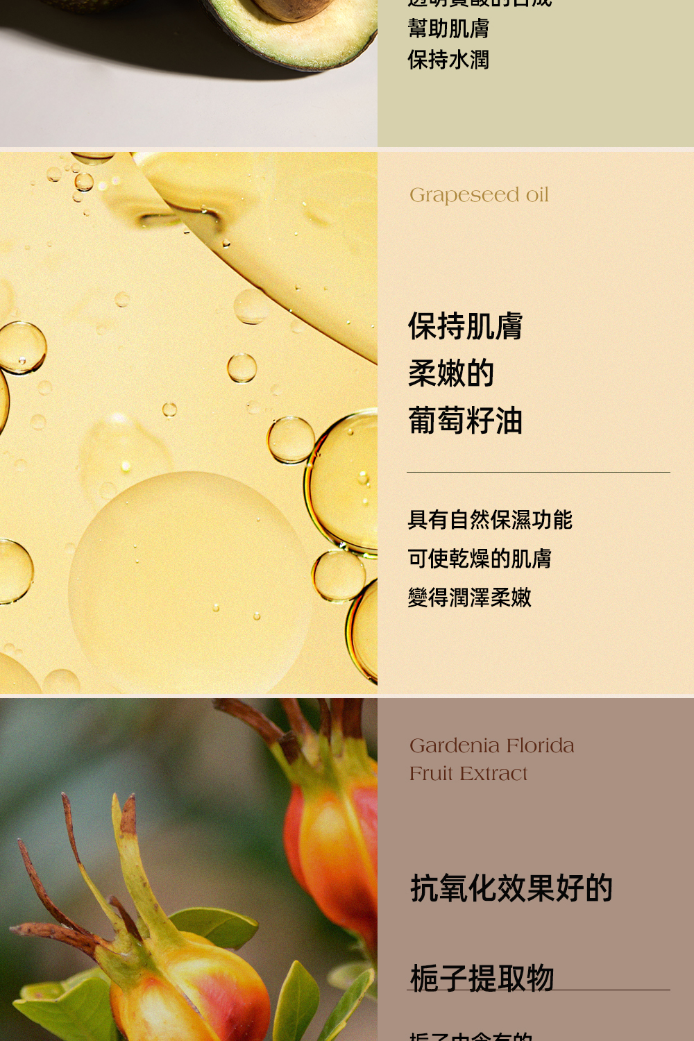 Luvum 植物膠原蛋白冰凝膠面膜5片:賦活肌膚,延緩老化,提供深層保濕與緊緻效果,有效提升肌膚彈性,讓肌膚更加光滑。