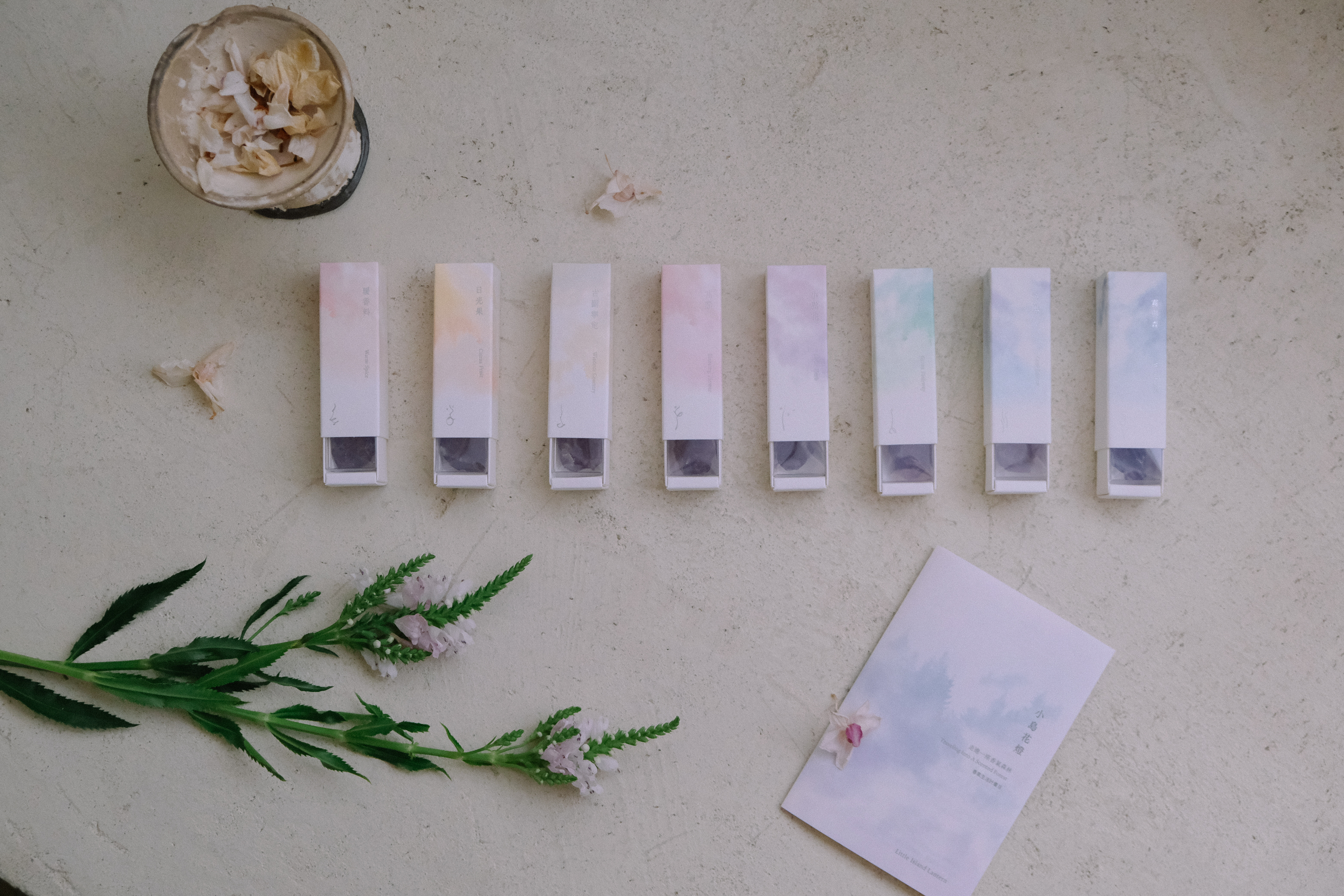 2024特別企劃〉走進一座香氣森林 ::  feeling複方精油全系列．上市品香講座