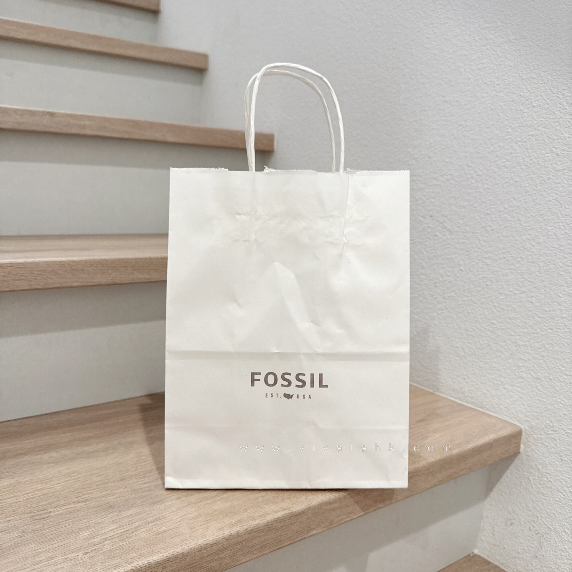 Fossil - 紙袋 (細)