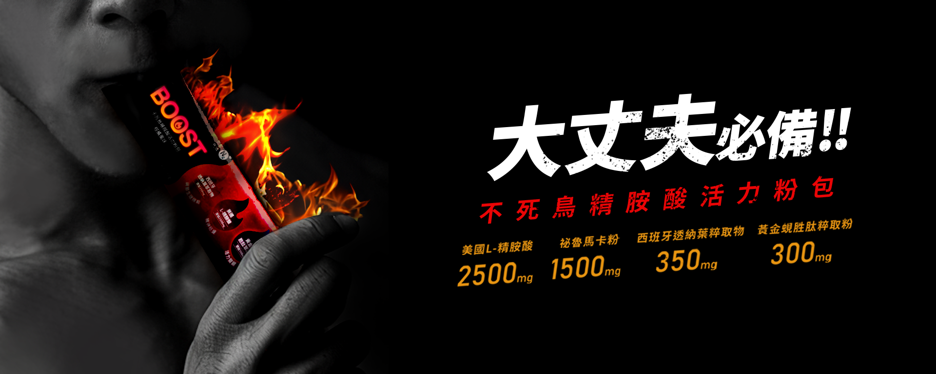 haru-boost-不死鳥