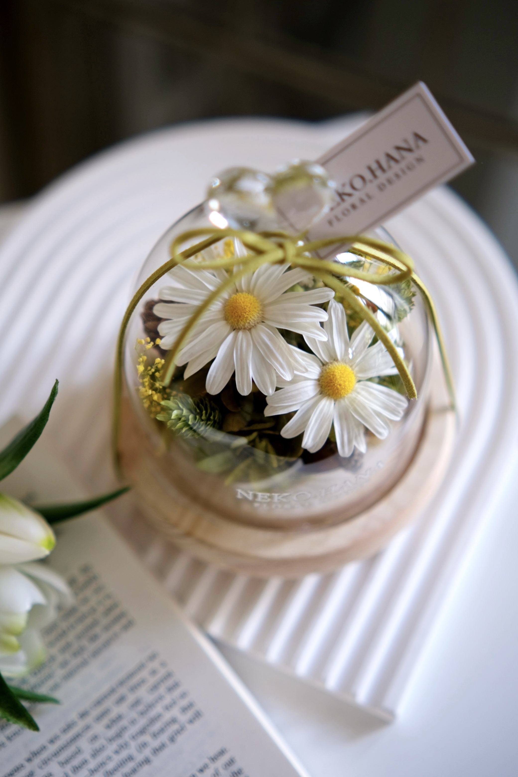 瑪格麗特永生花盅