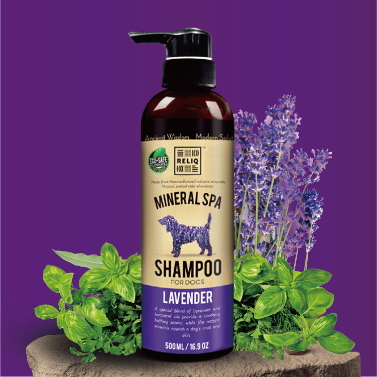 RELIQ⎜火山礦物泥+薰衣草精華納米洗毛精 500ml (REL-0387)