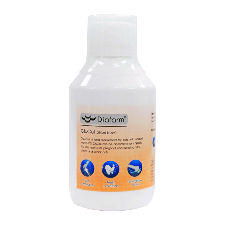 Diafarm⎜葡萄糖胺鈣液 (貓用) 250ml (ST-44901-C)