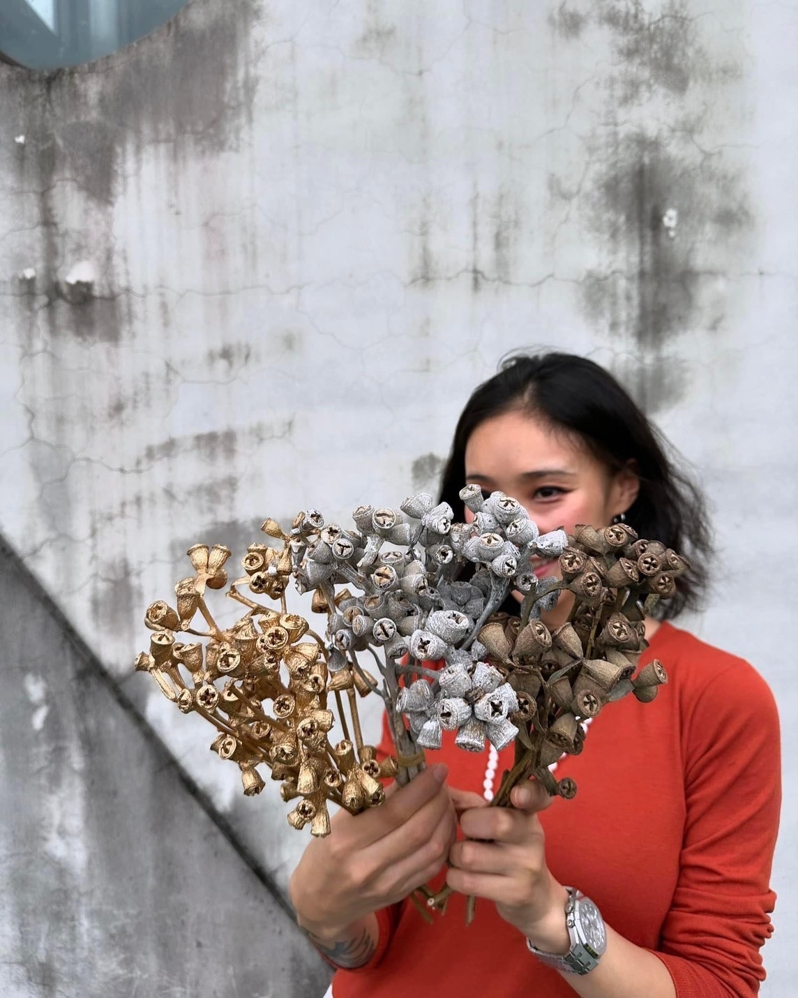 乾燥十字果(南非)