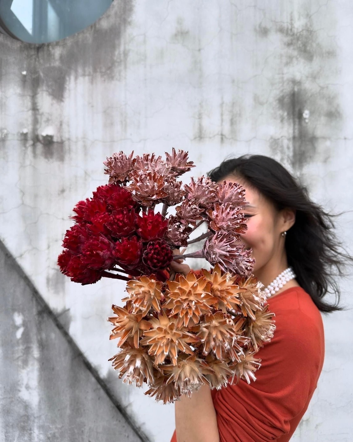 乾燥陀螺果 (南非)