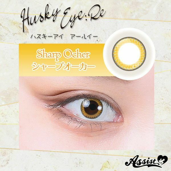 [日拋] Assist chouchou Husky Eye :Re 1day『Sharp Ocher』Yellow 彩妝隱形眼鏡｜每盒6片