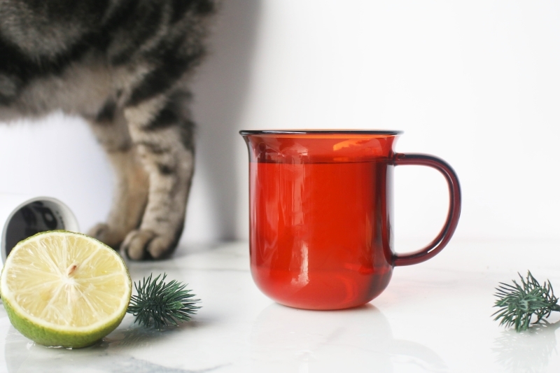 好玻GOODGLAS 單層把手玻璃杯