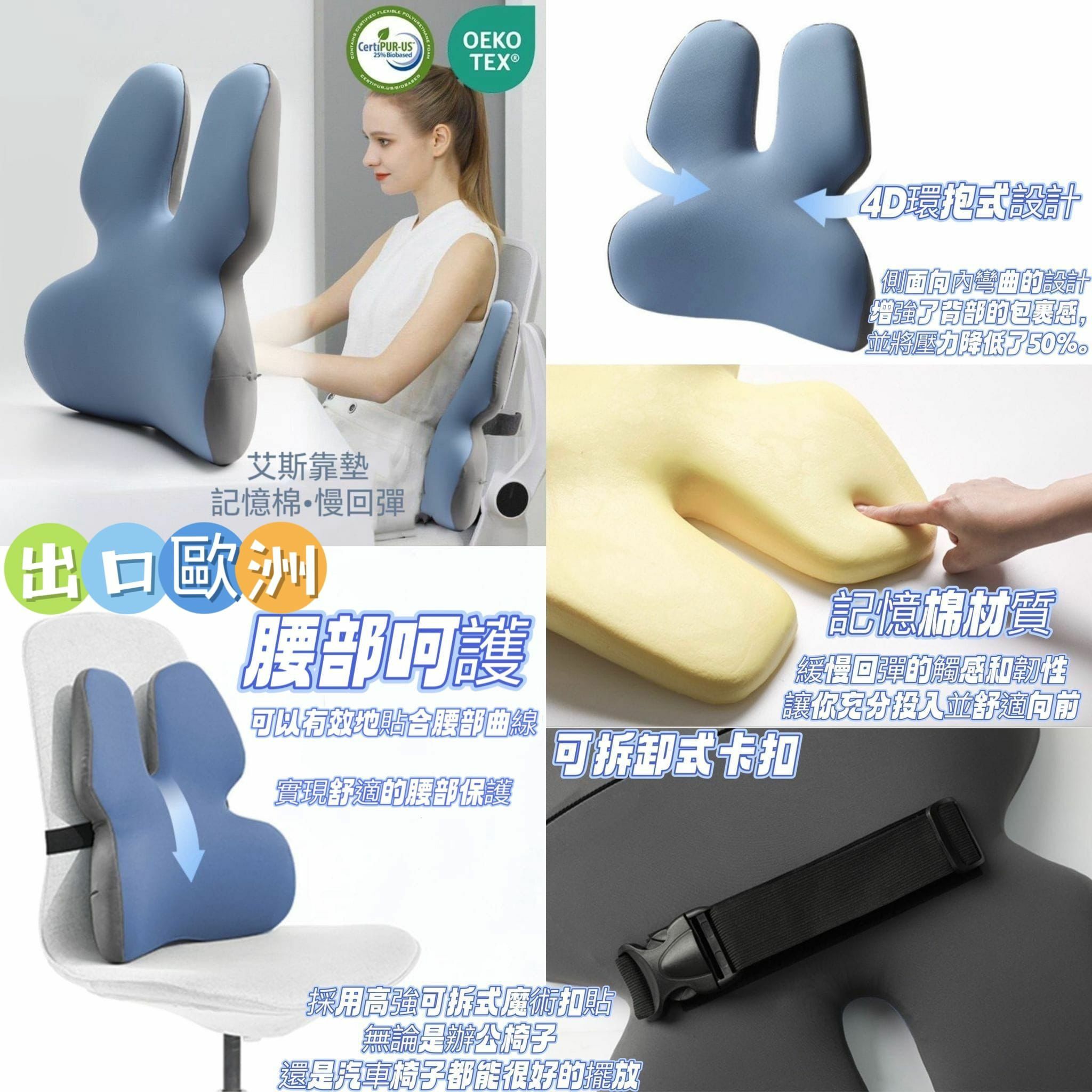 歐洲熱賣靠墊Y1279