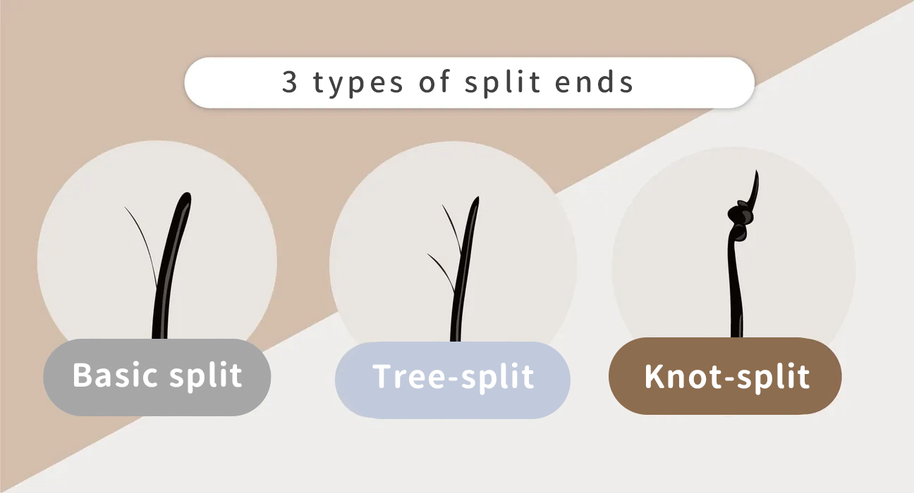 Three types of split ends: Basic-split tree-like-split knot-like-split