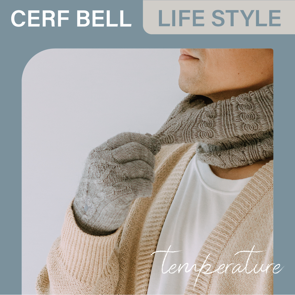 【肌暖】台灣製 莫蘭迪立體麻花刺繡加厚觸控手套丨G1637TE