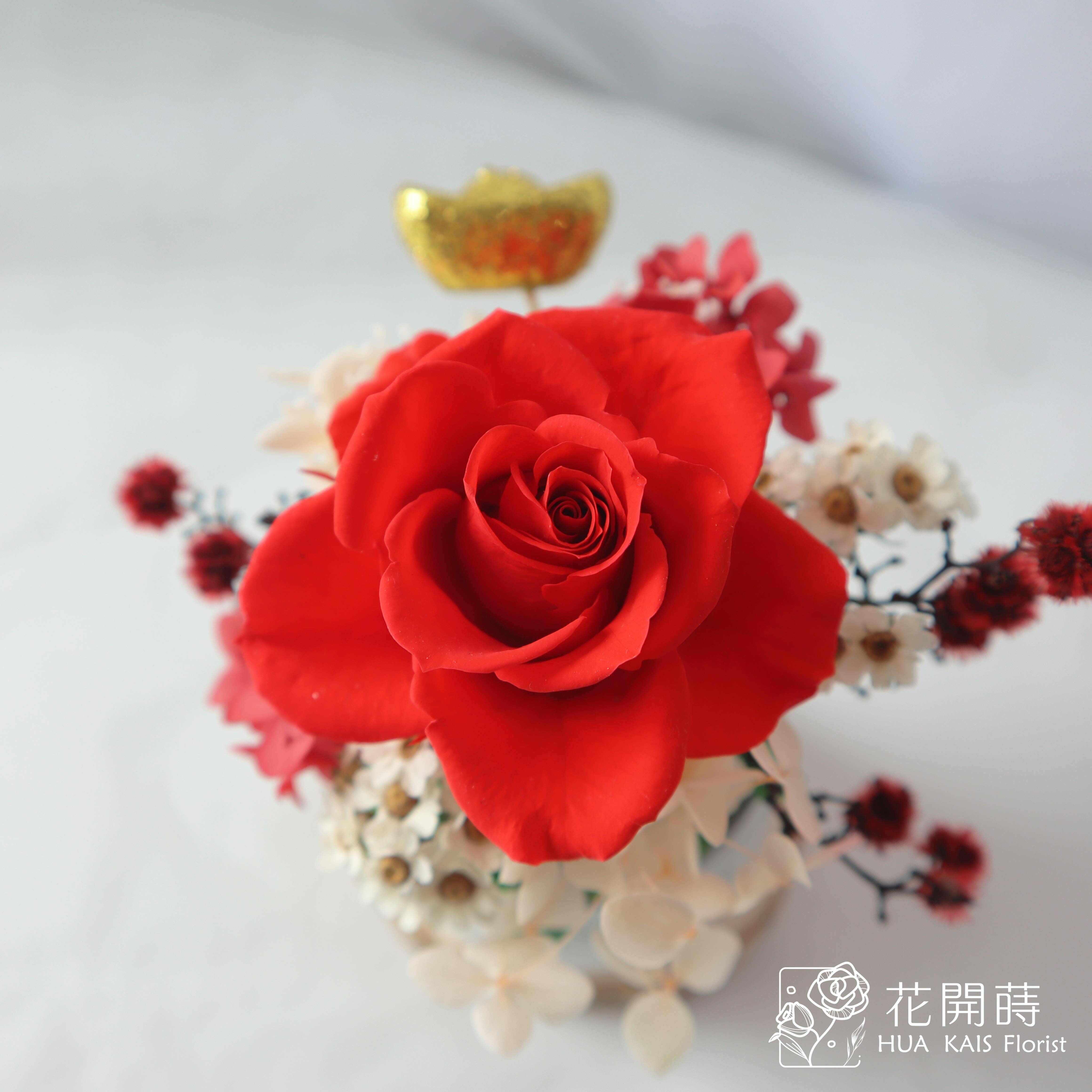 迷你小盆栽|恭喜發財迷你桌花|永生玫瑰花|辦公室小桌花|永生花禮物|新年賀禮
