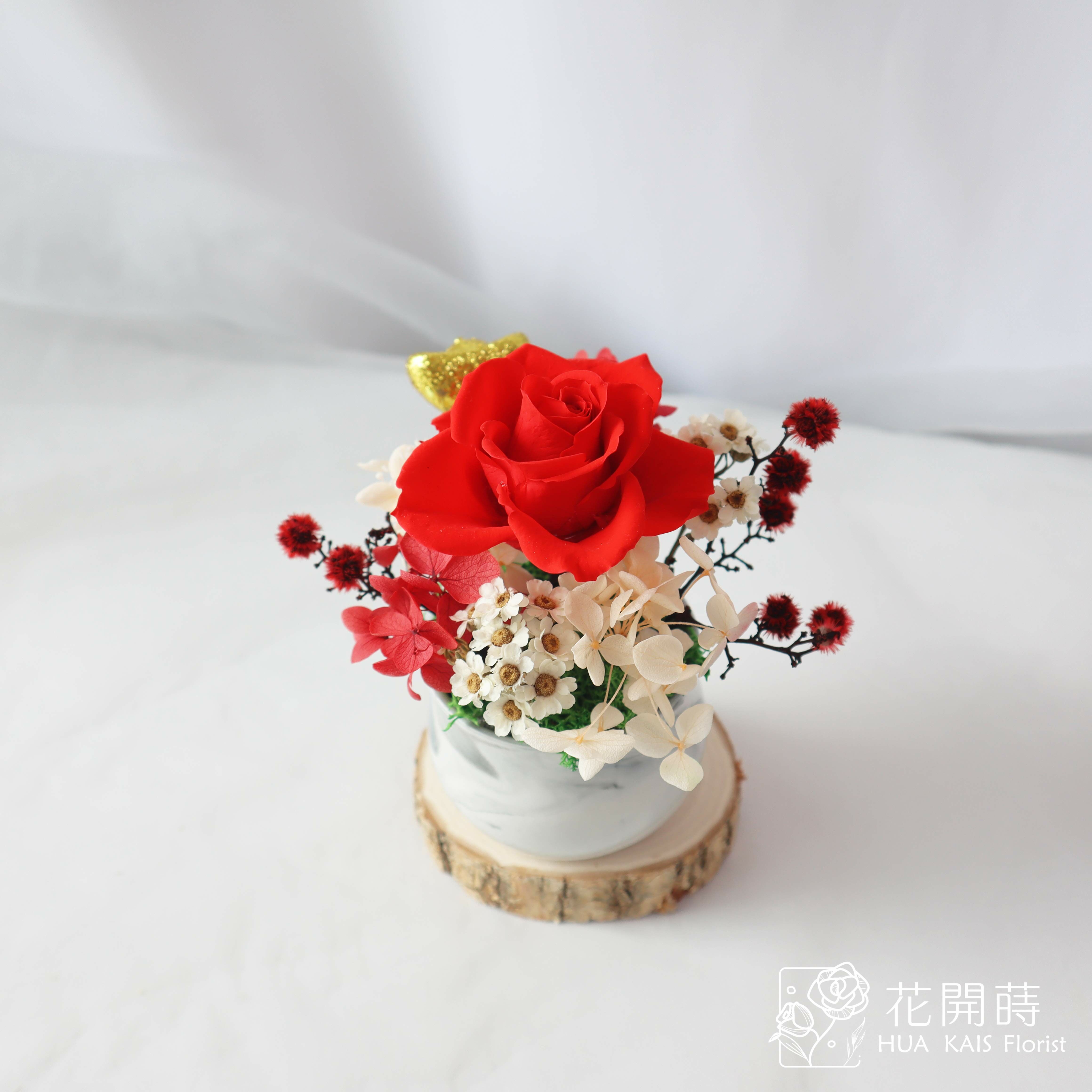 迷你小盆栽|恭喜發財迷你桌花|永生玫瑰花|辦公室小桌花|永生花禮物|新年賀禮
