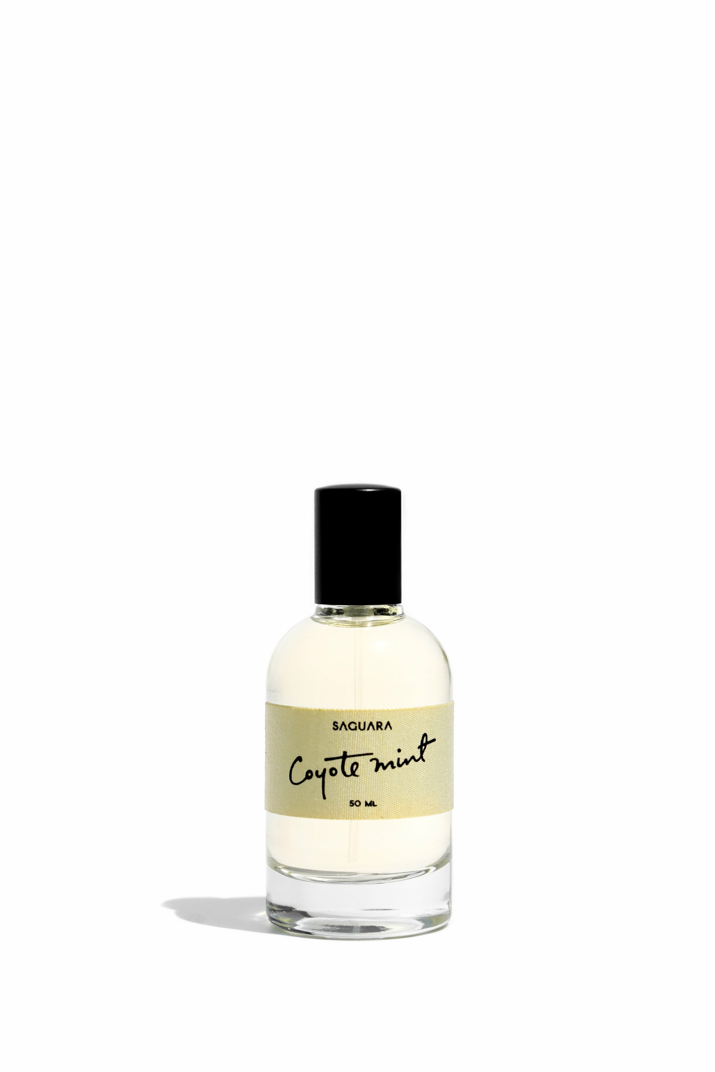 SAGUARA COYOTE MINT 狼薄荷