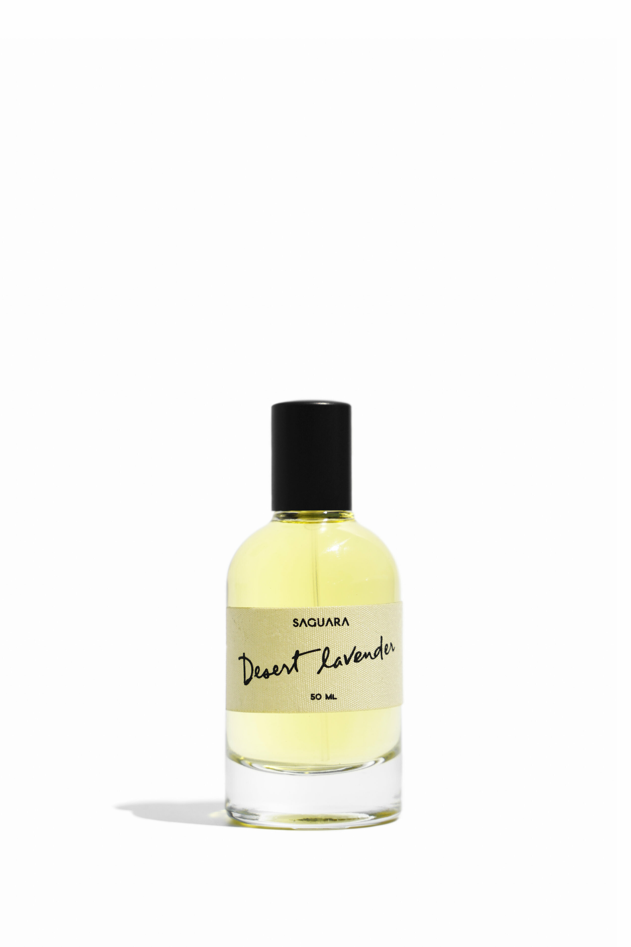 SAGUARA DESERT LAVENDER 沙漠薰衣草