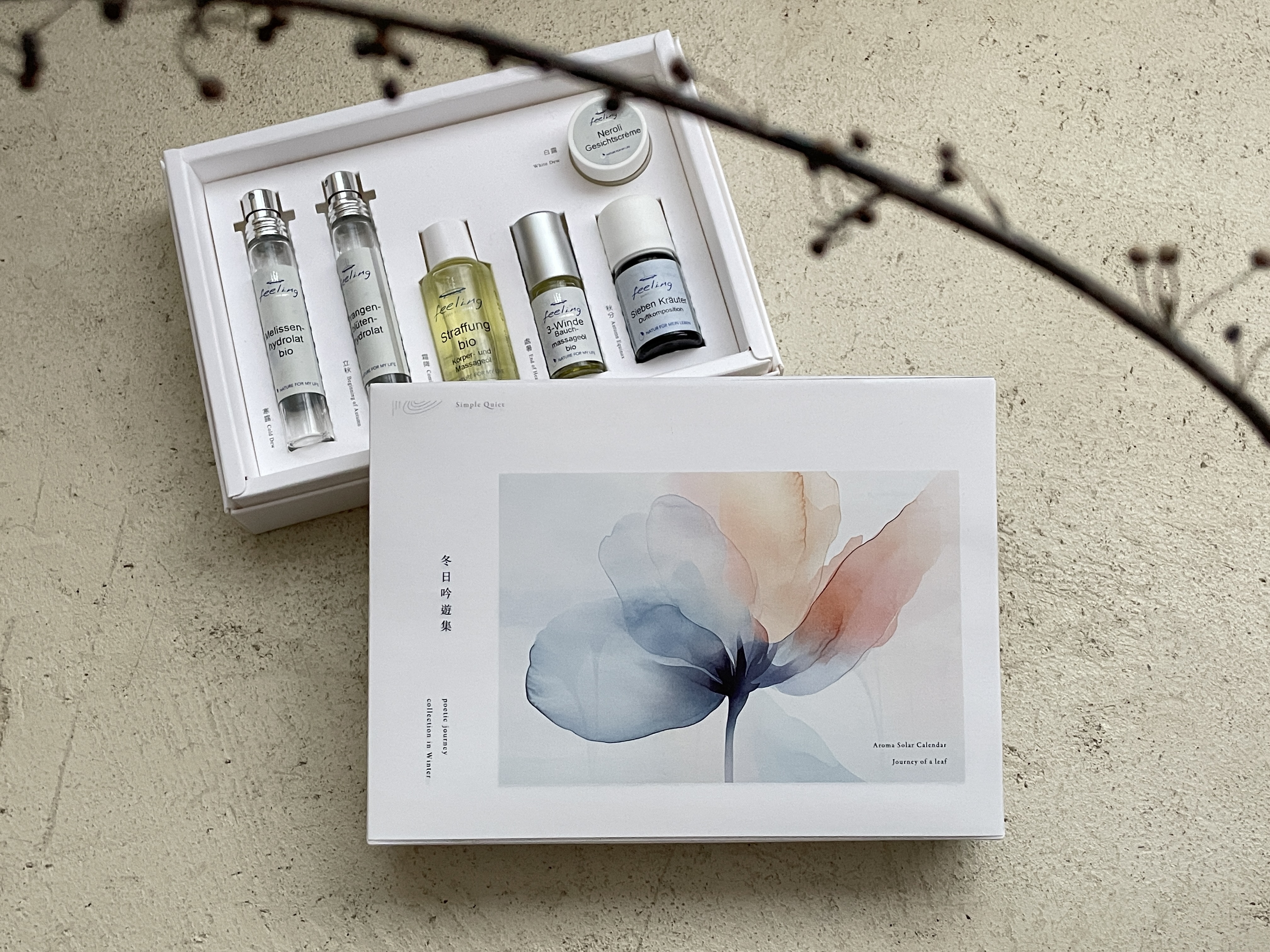 冬日生活小講〉芳香一葉盒 :: 冬日吟遊集 :: 導讀講座