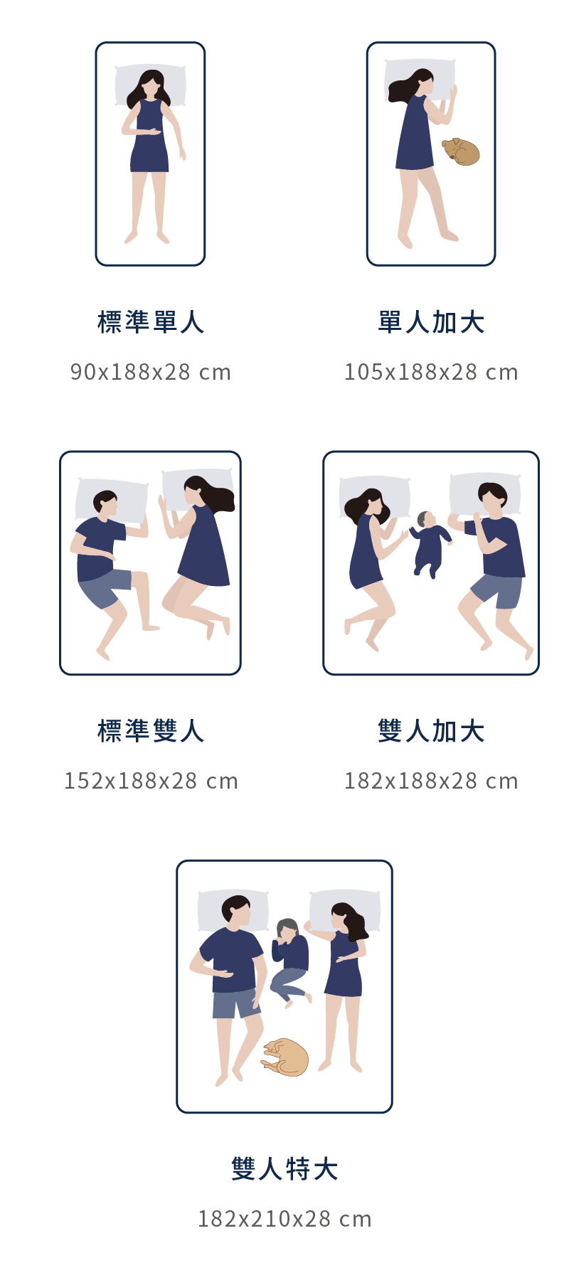 穩穩支撐床墊 尺寸規格