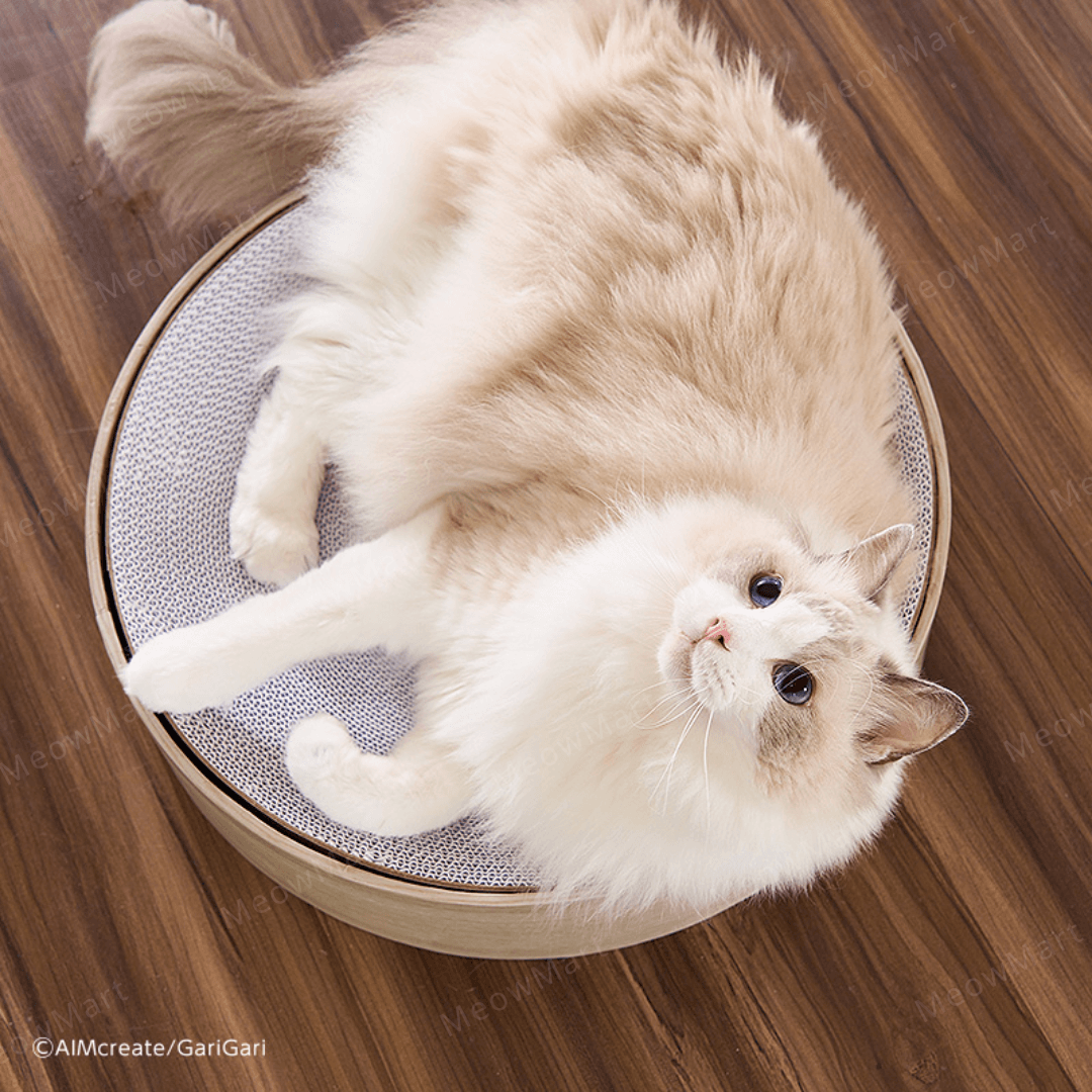 日本Gari Gari 圓窩貓抓板 (白色)