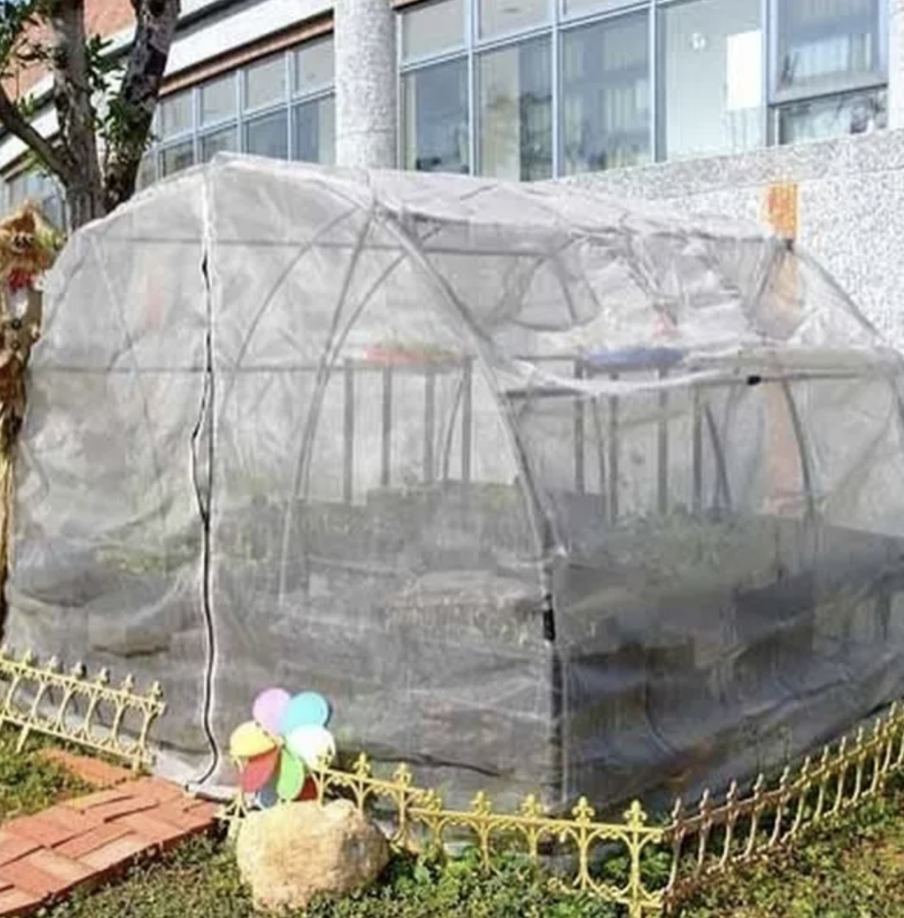 迷你網室栽培組