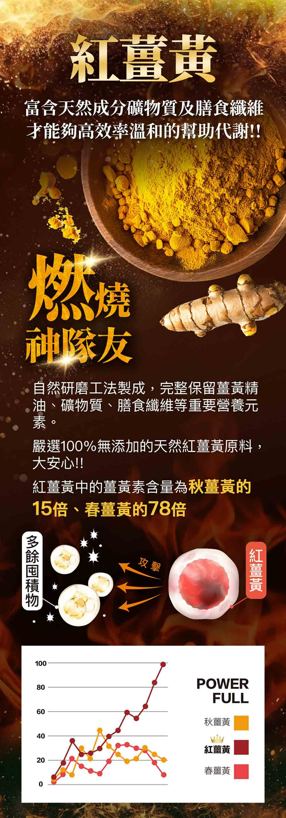 飽足感No.1-含膳食纖維-瘦身-嚴萃保健-7